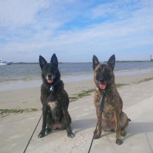 The girls on the beach